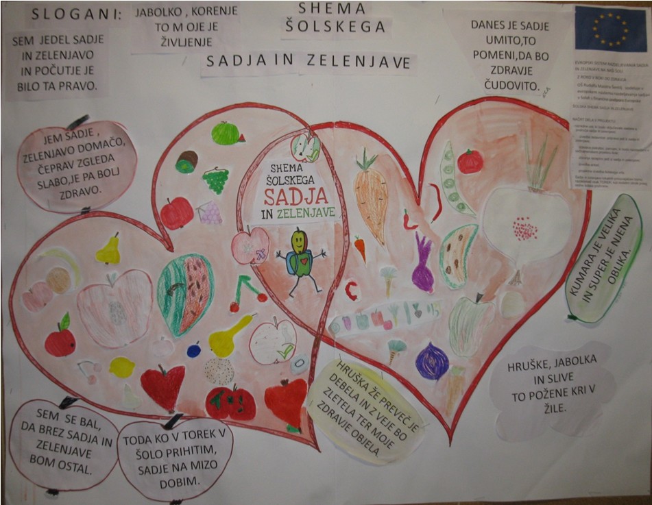 shema sadja 14