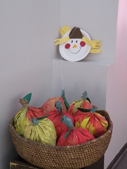 DSCN4446